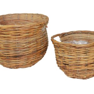 Kori paju muovitettu set/2