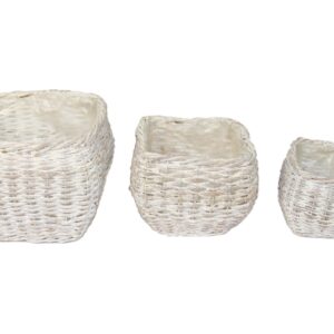 Kori istutus paksu rattan vaalea s/3
