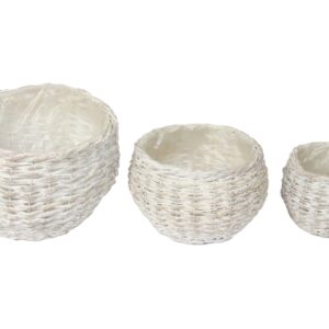 Kori istutus pyöreä paksu rattan vaalea s/3