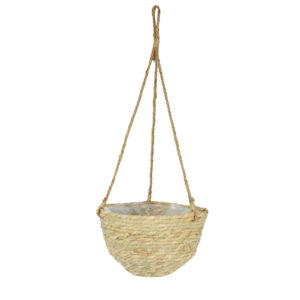 Amppeli grass muovitettu 26x16cm k.65cm
