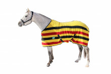 hevostarvikkeet